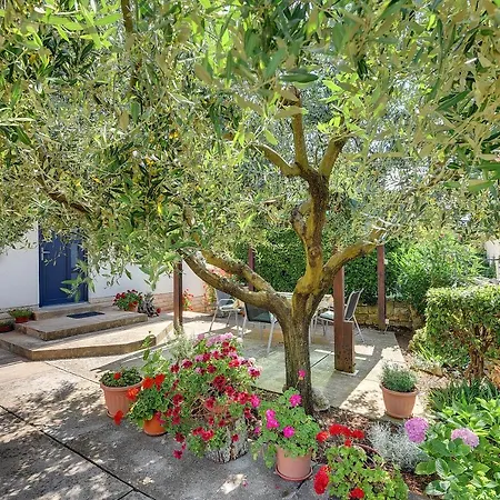 Casa Pepca Lägenhet